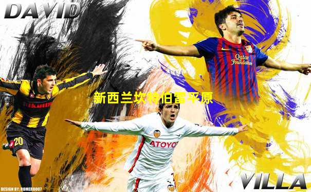 新西兰坎特伯雷平原