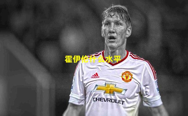 霍伊伦什么水平